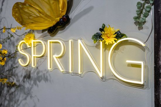 Spring Basel 2024